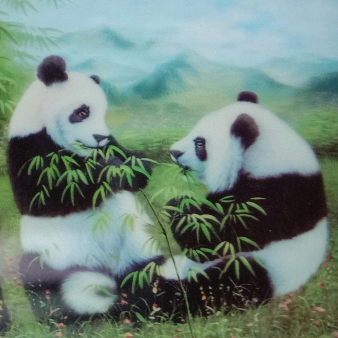 海琪