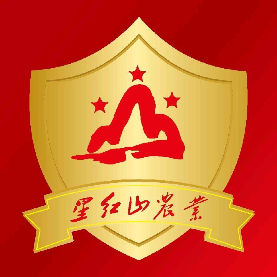 湘西桔子哥
