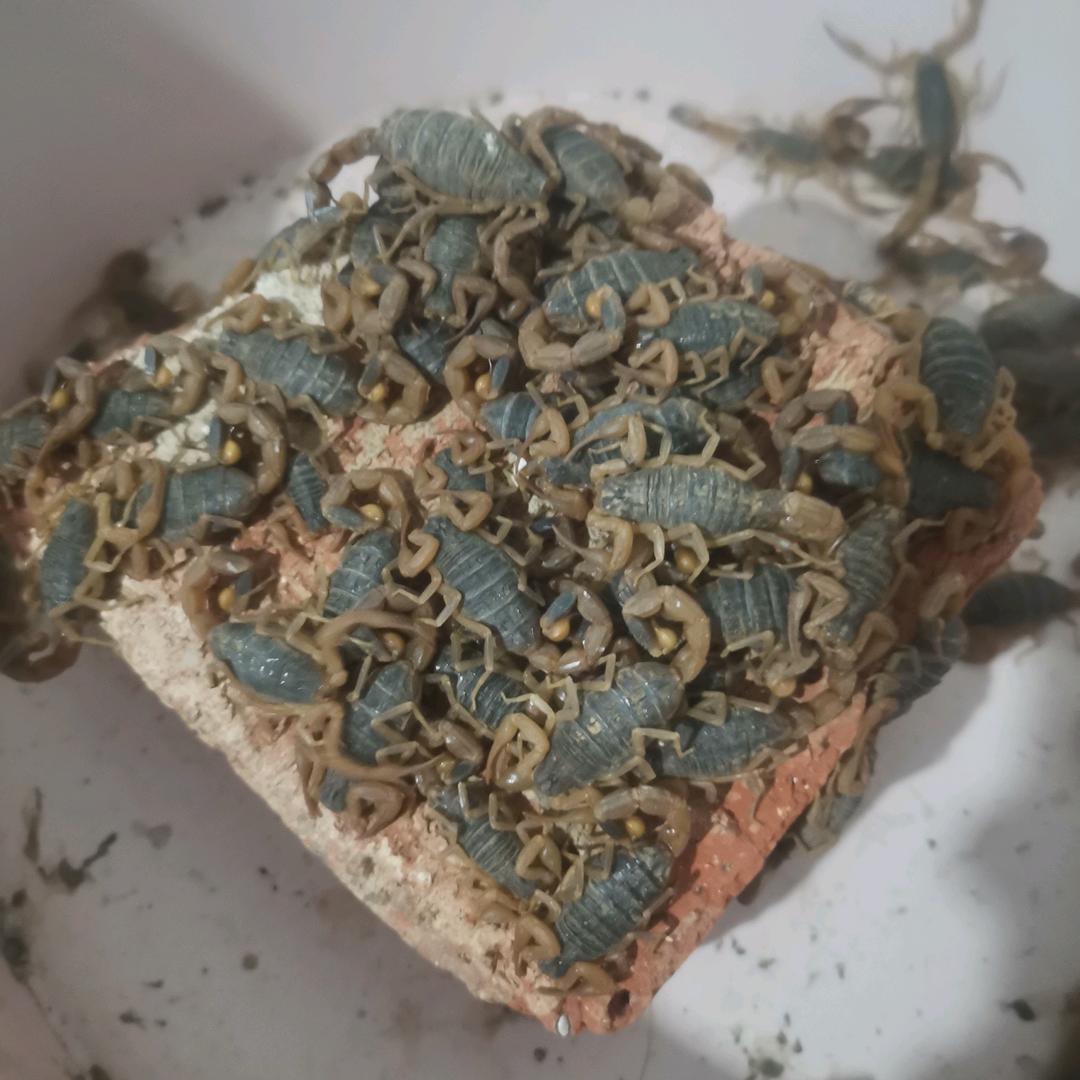 海阔天空谁与争锋