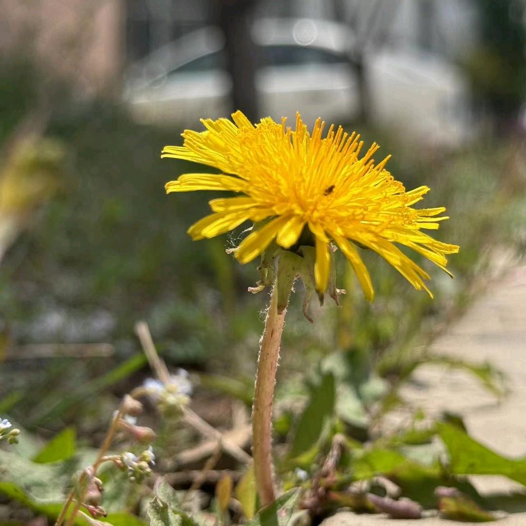 打工人「重生」