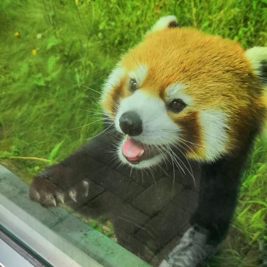 💗᭄余生ᝰᩚ随心ꦿ