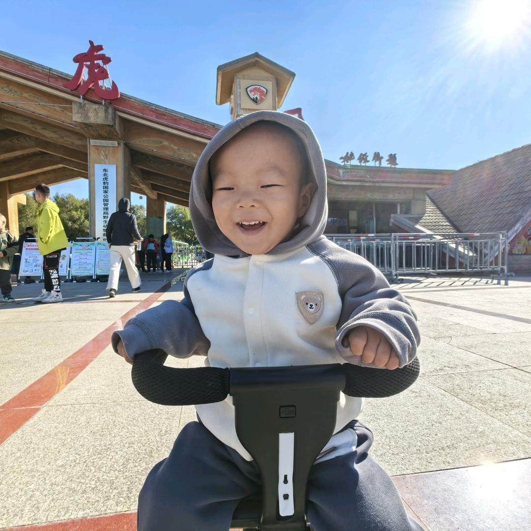 子桀麻麻