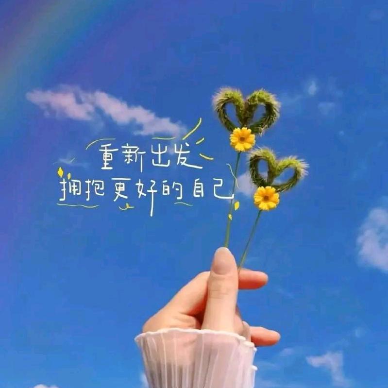 💞桐桐💞