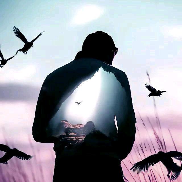 好久不见，喝口粮酒，老白干。