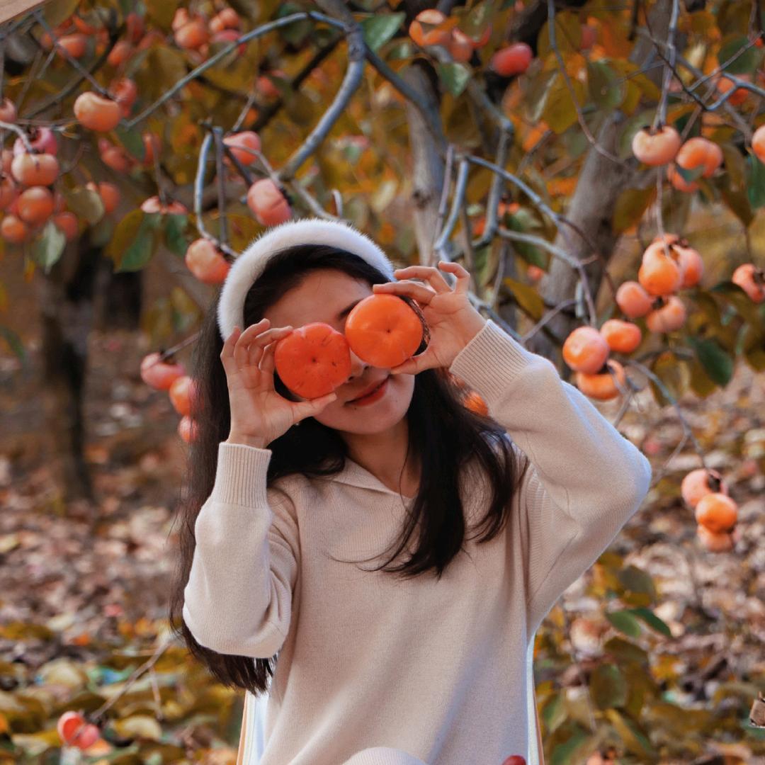 柿子妹妹