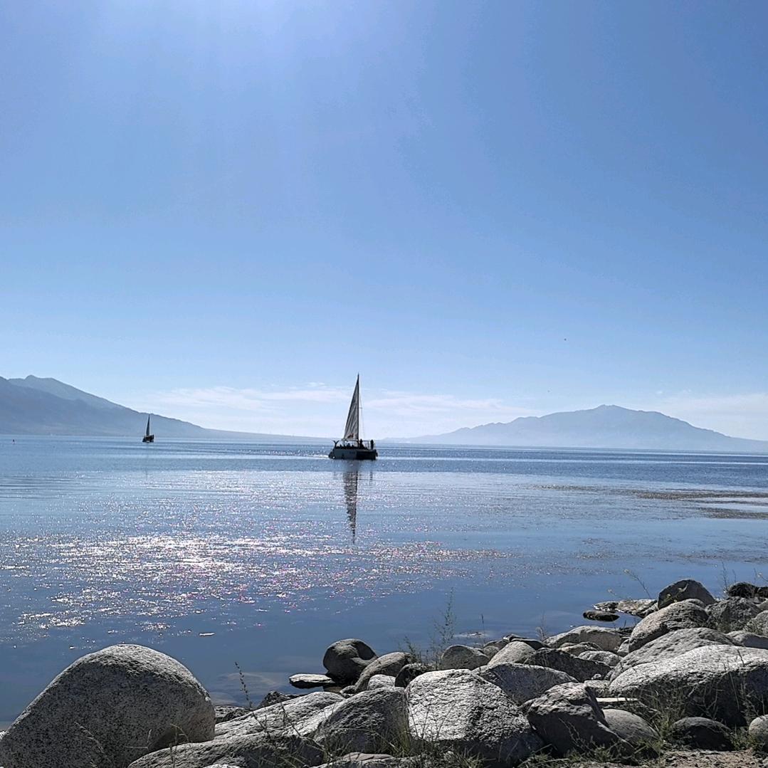 黑色幽默74774552242