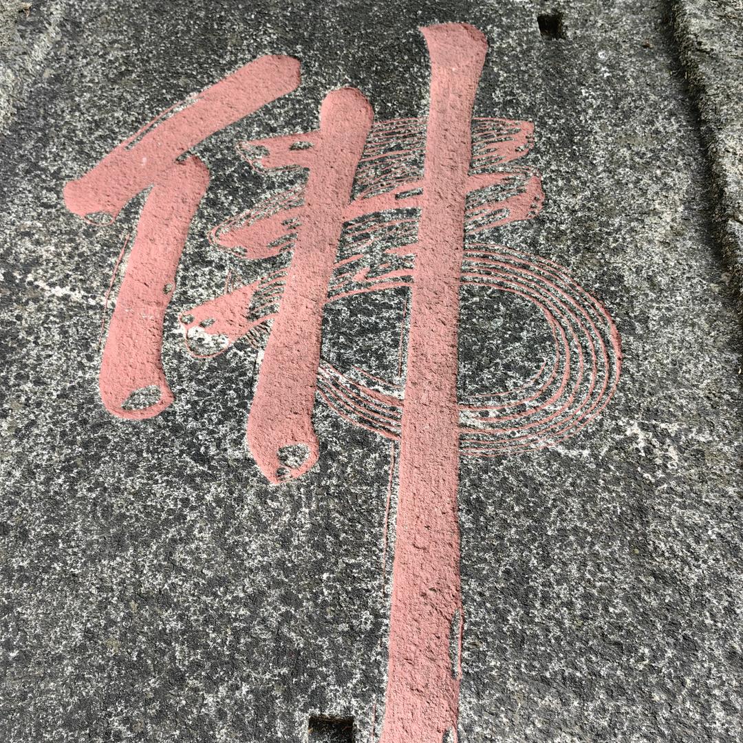 o>缘缘<o