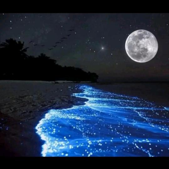 星空海洋
