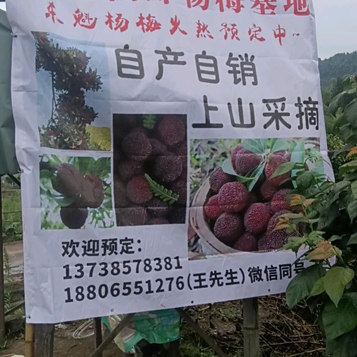 王氏集团