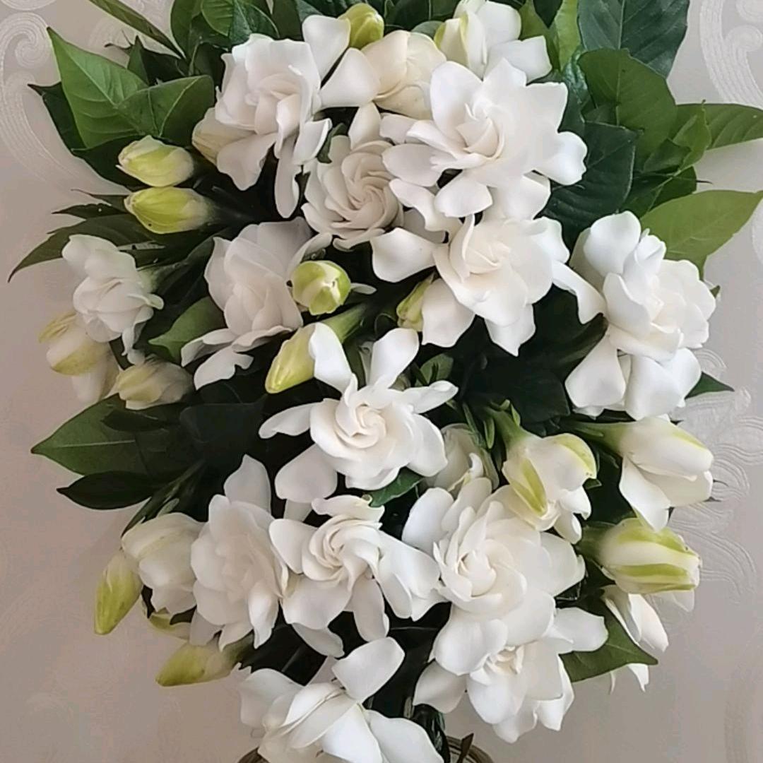 💞ૡ᭄彼໊岸⃨花ꦿ҉࿐