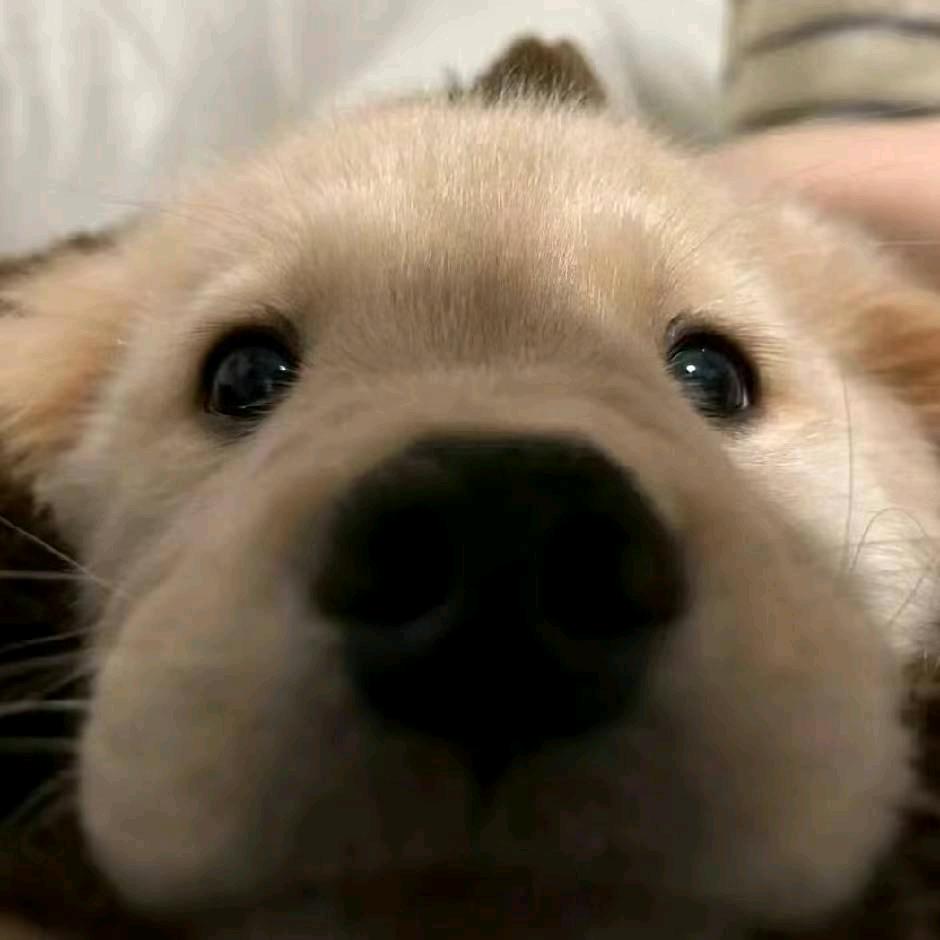 雾ㅤ