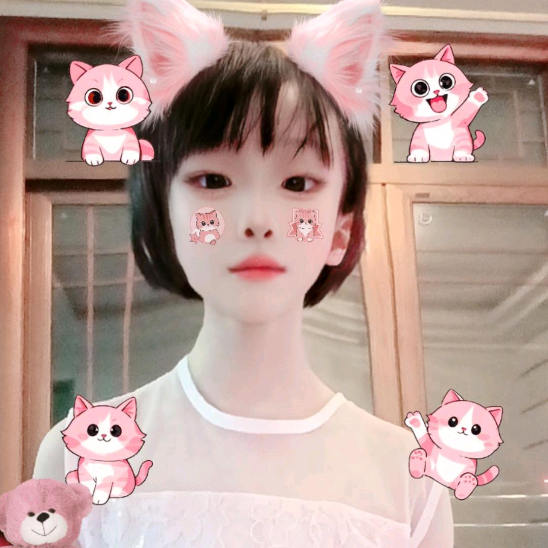 依宝