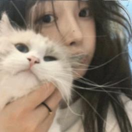忆无解