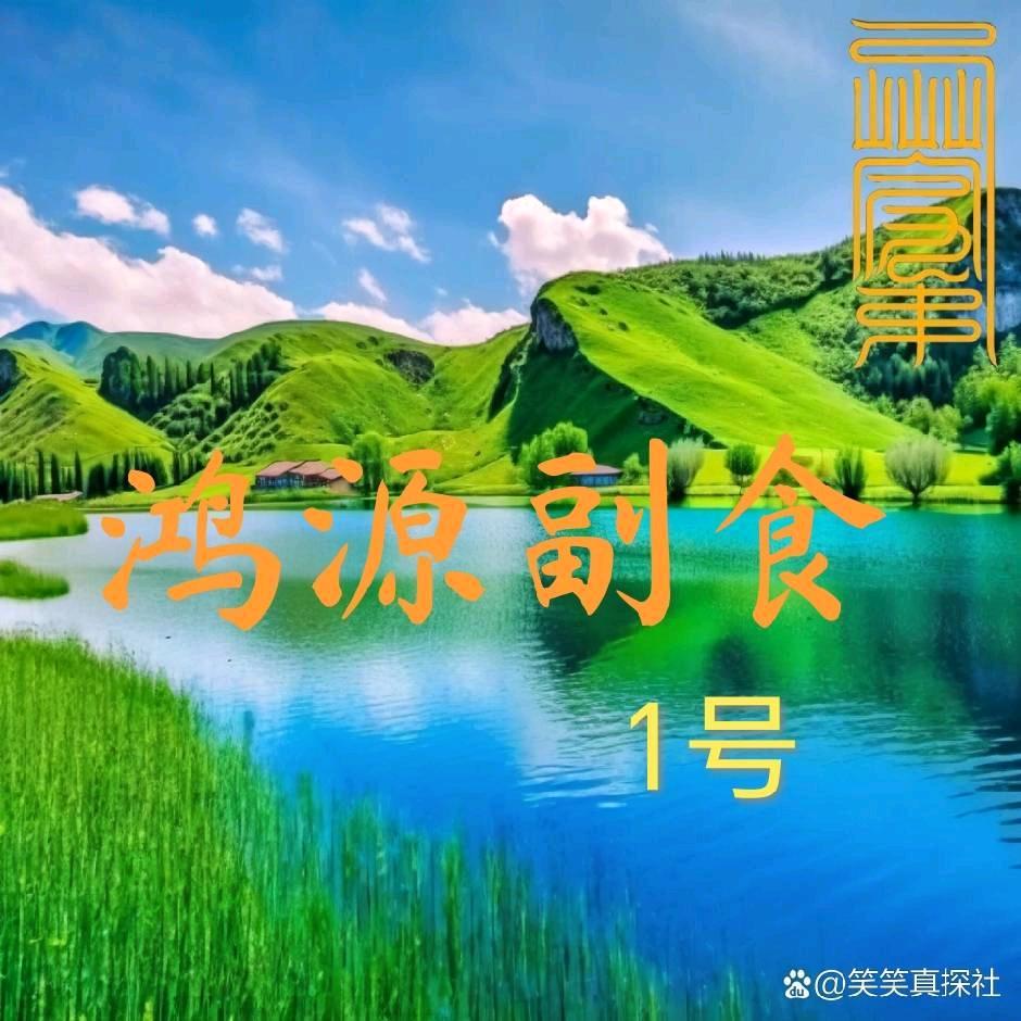 鸿源副食.