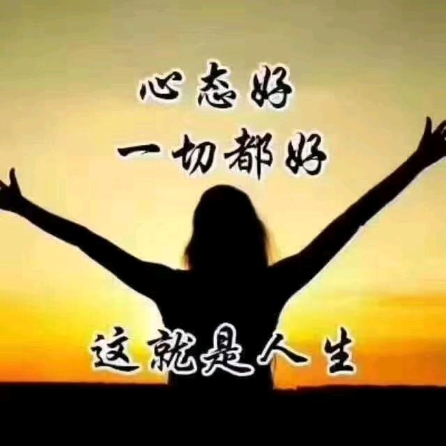 轮回中勿打扰
