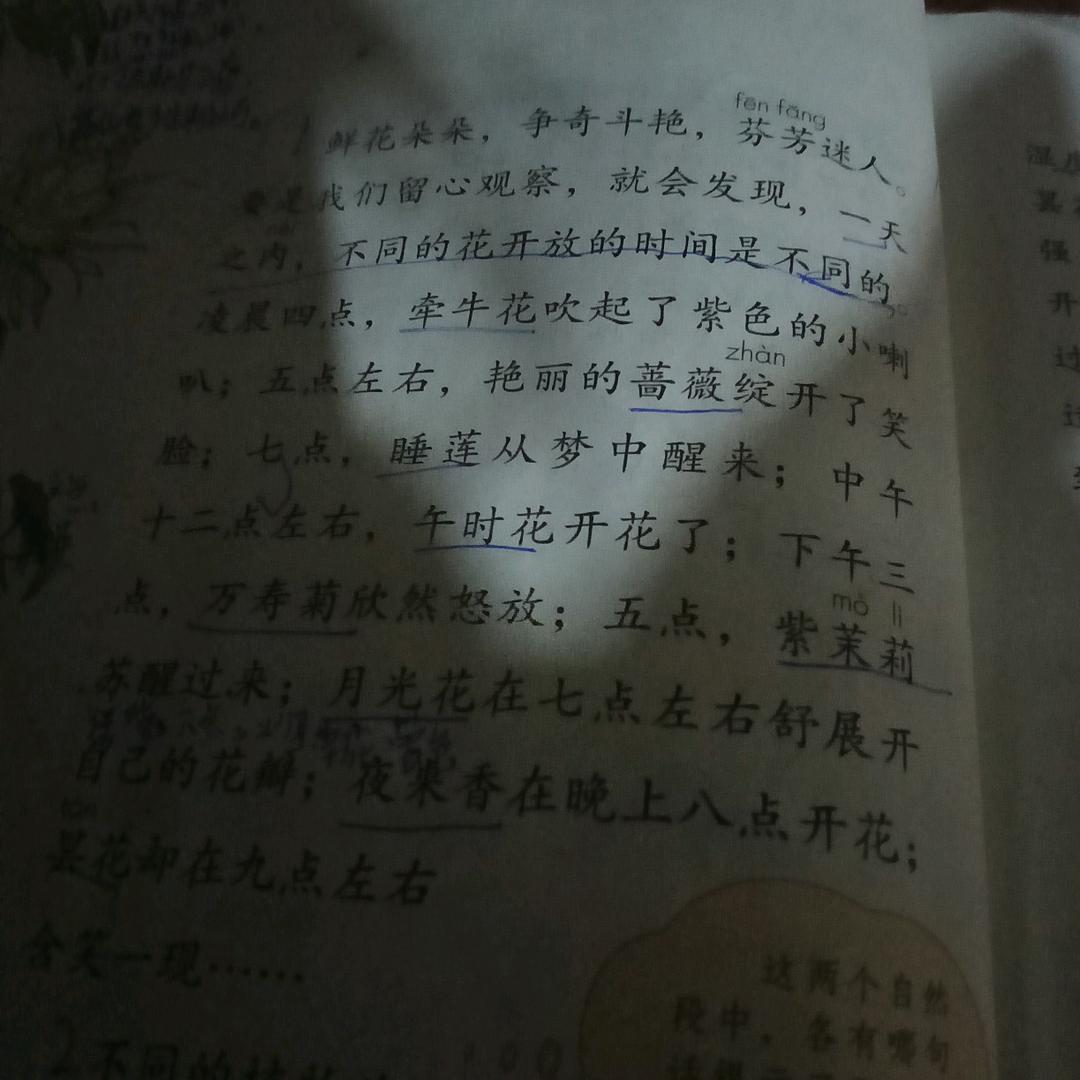 席席