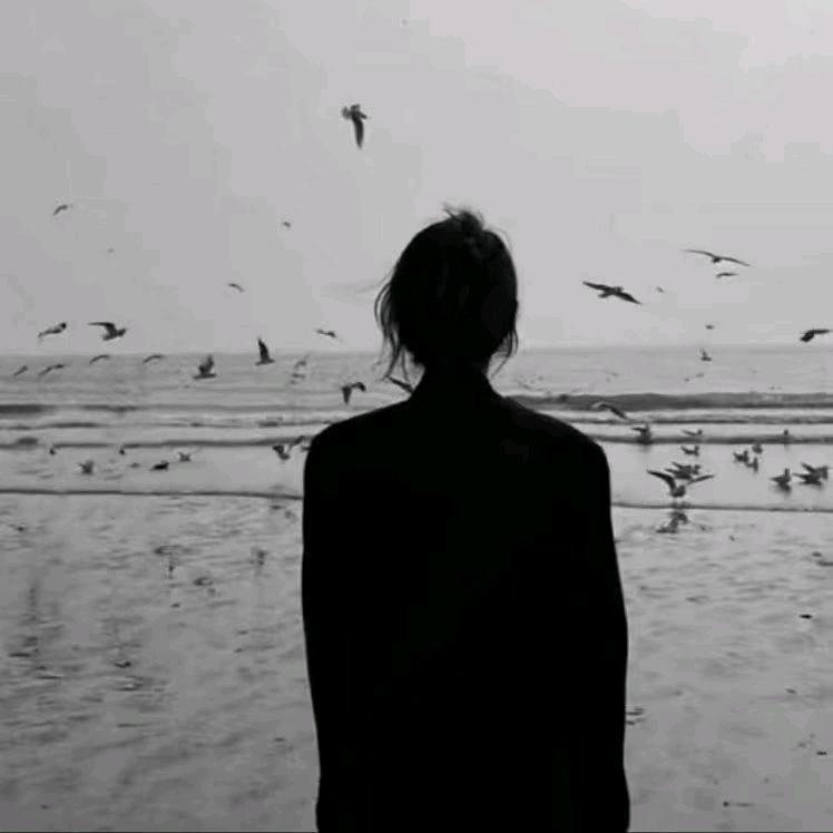 ℳ̶̶̶̶♡̶҉暮晚℘