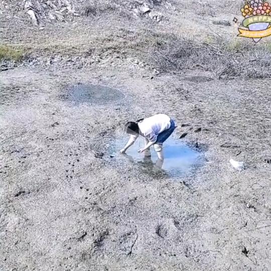 无奈
