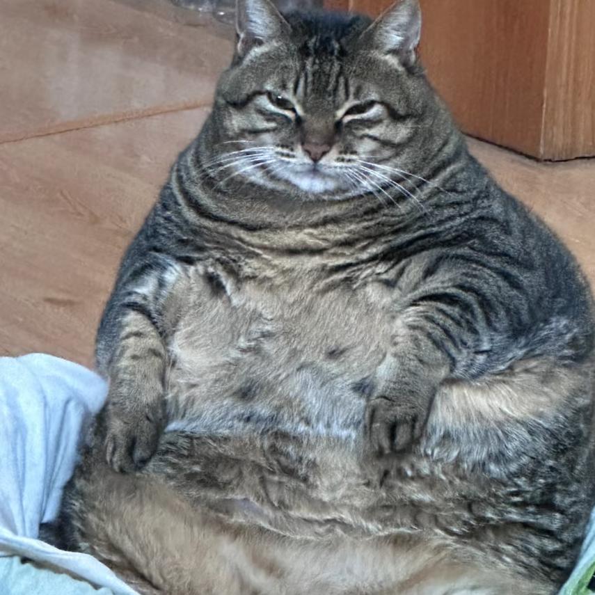 异域