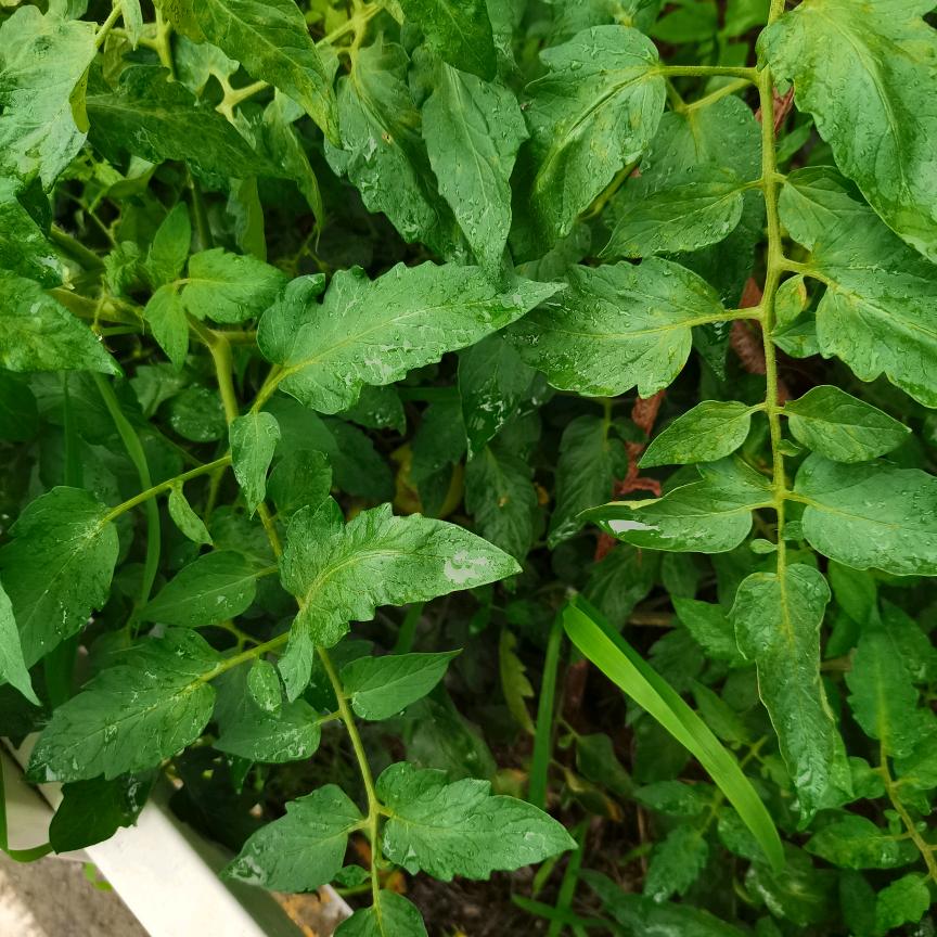 ？！。，？？。？。