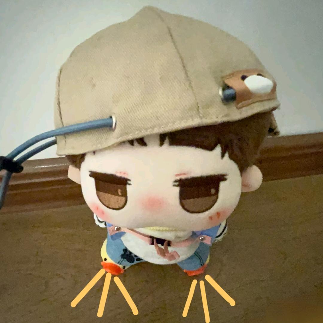 狸花猫抢了我的🐟