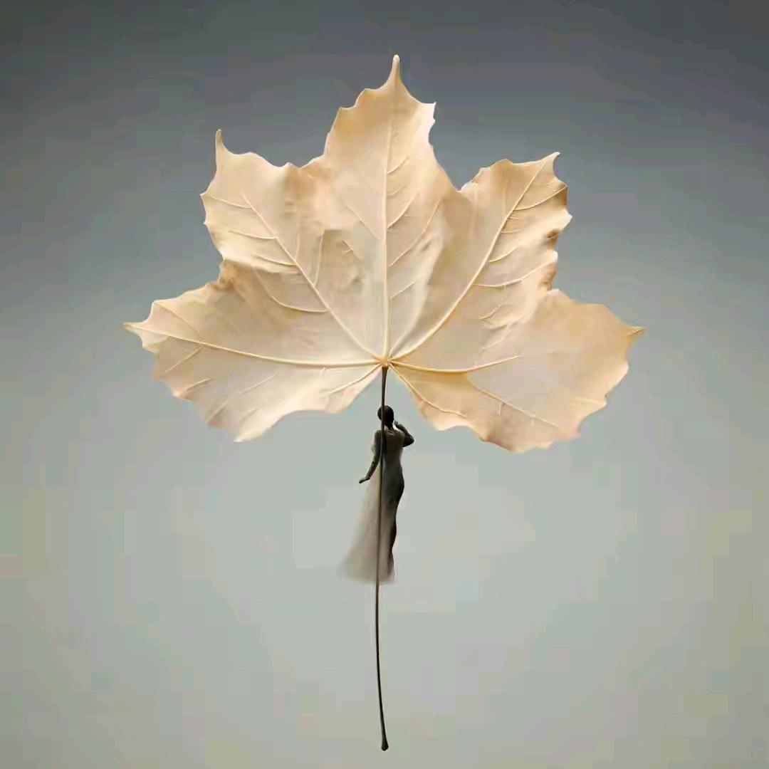 歆道