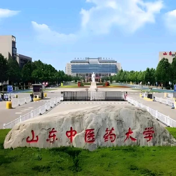 【山东中医药】师承班主任