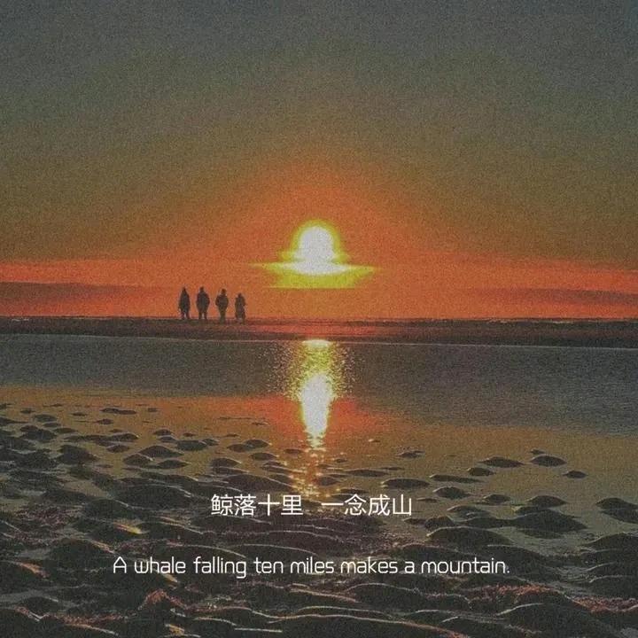 蓝桉已遇释怀鸟