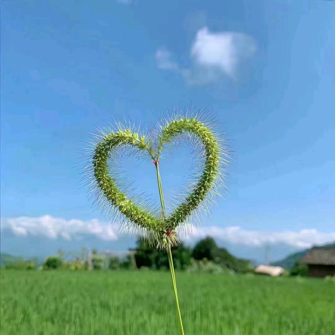 在旅行