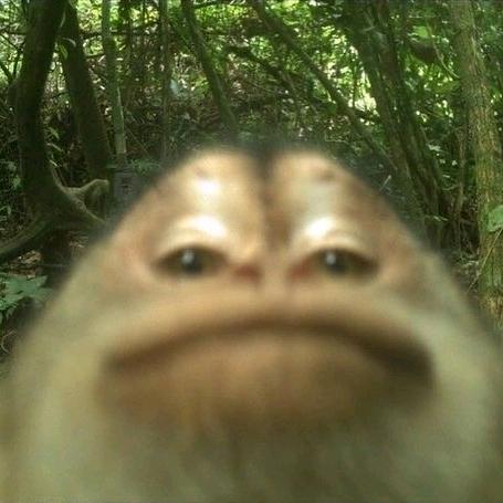 你凭什么不吃奶油