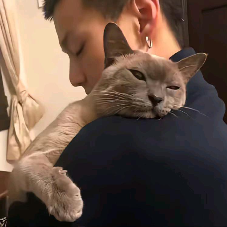 起风了