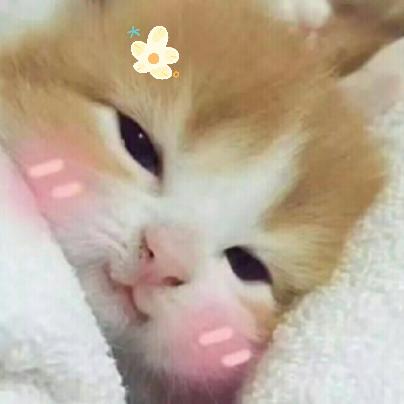 迖