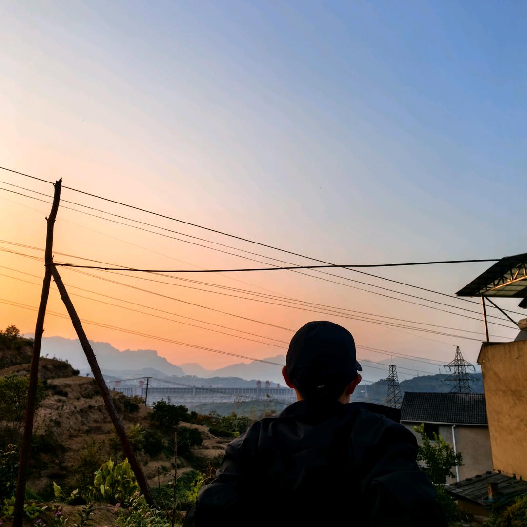 家有恶犬叫葵花⭐️