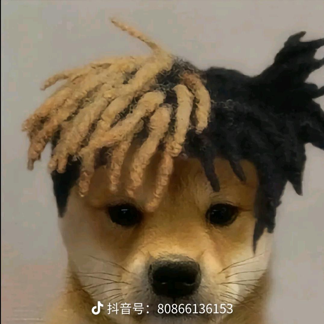 小沙马上变有钱💰