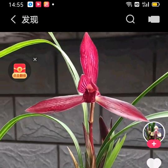 用户2477885382139