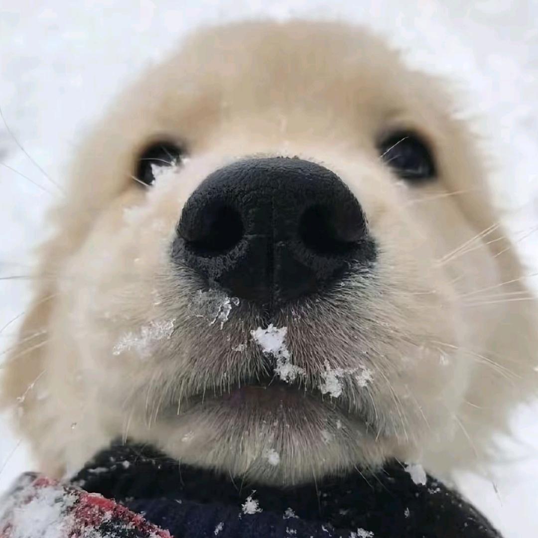 冬天不爱穿外套