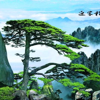 财源广进，希望在25年红红火火财源广进