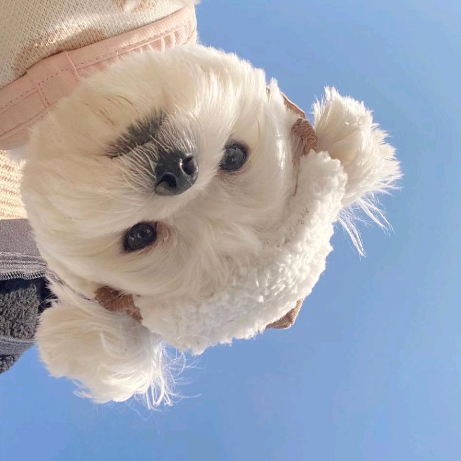 小小姜