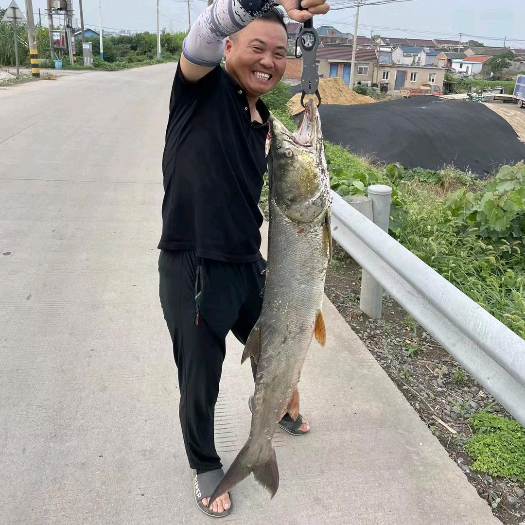 全能小张