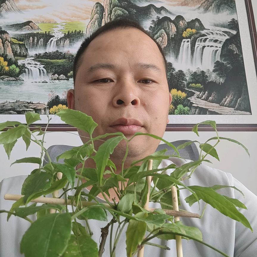 山货阳总
