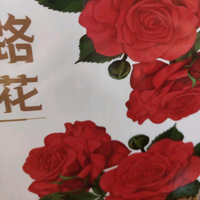 月亮☃️