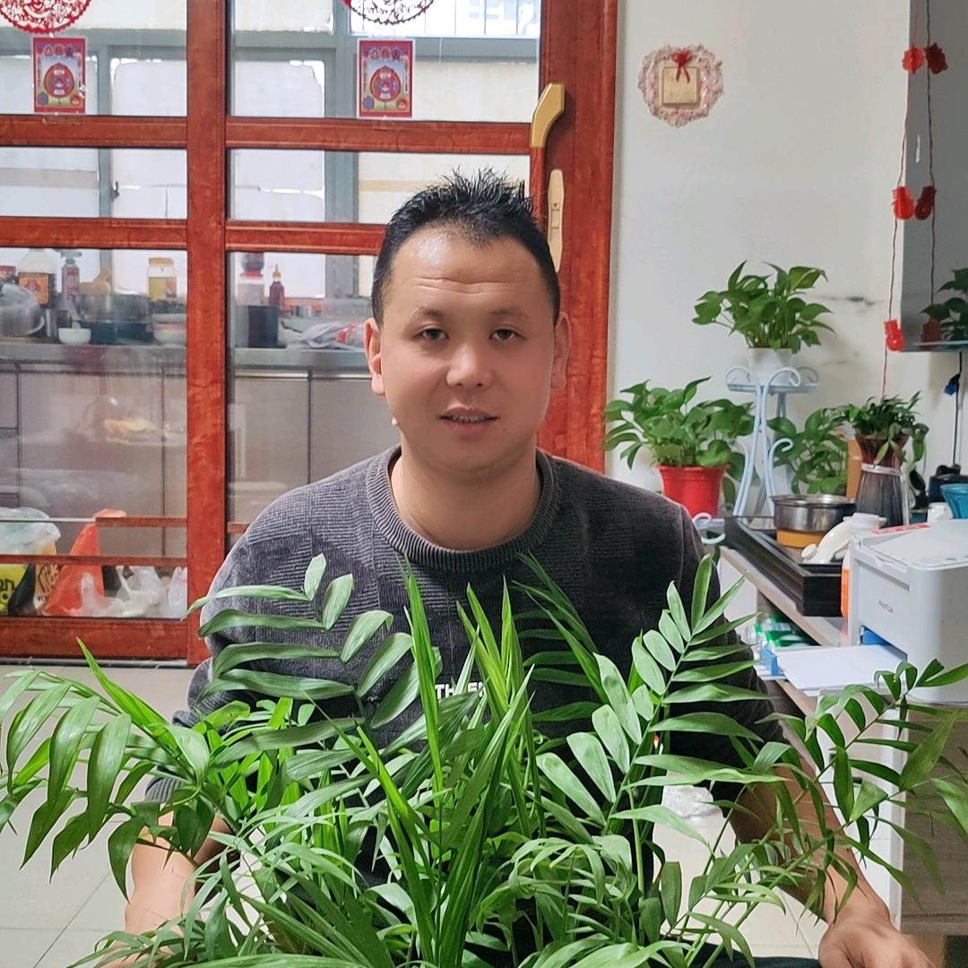 赵龙