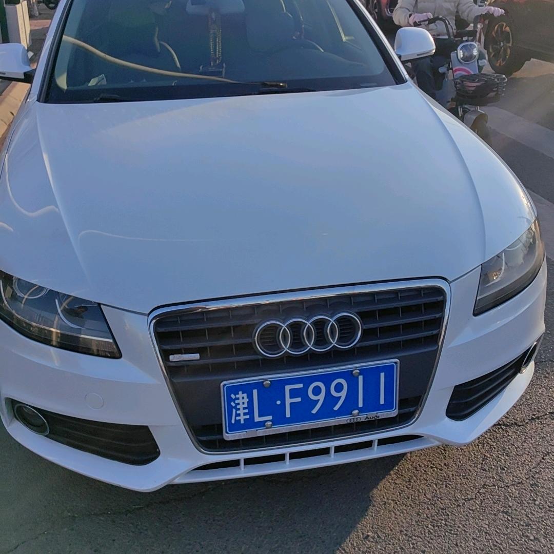 小跳骚