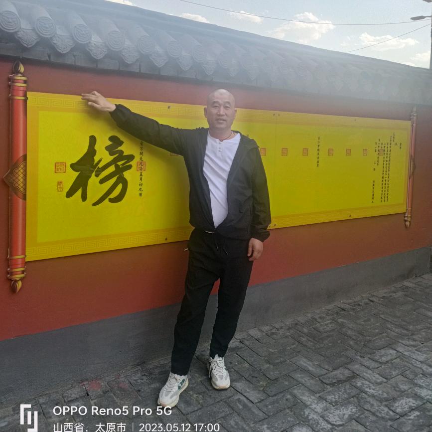 逆风逐刘