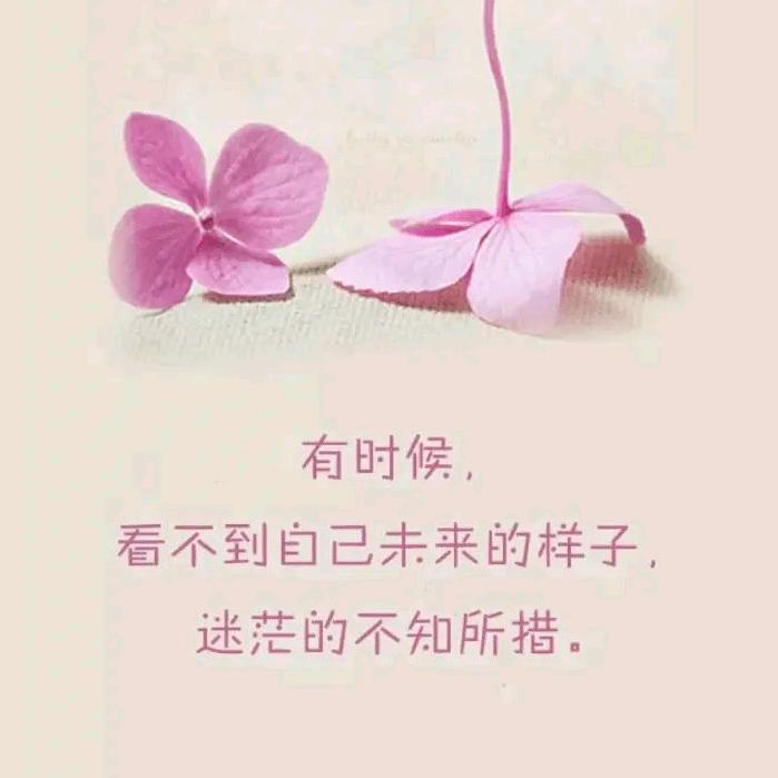青栀