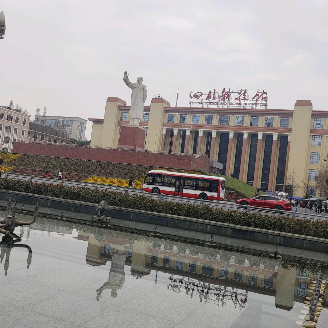 五月的羊