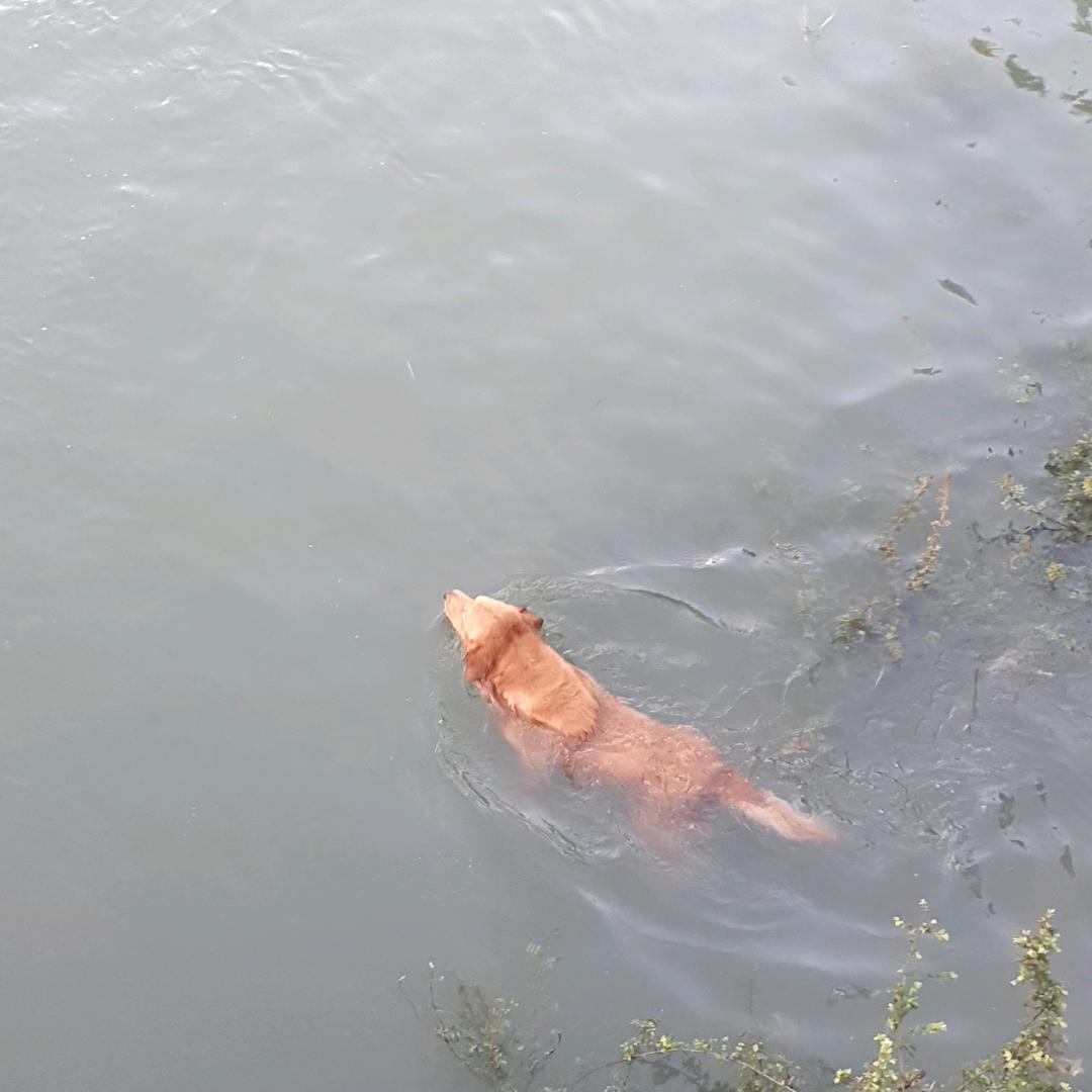 后浪
