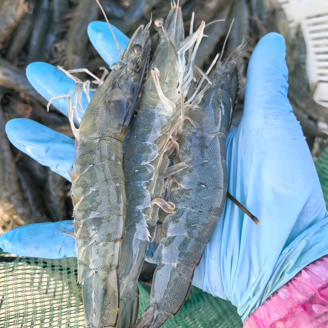 🔥向钱看向厚赚🔥