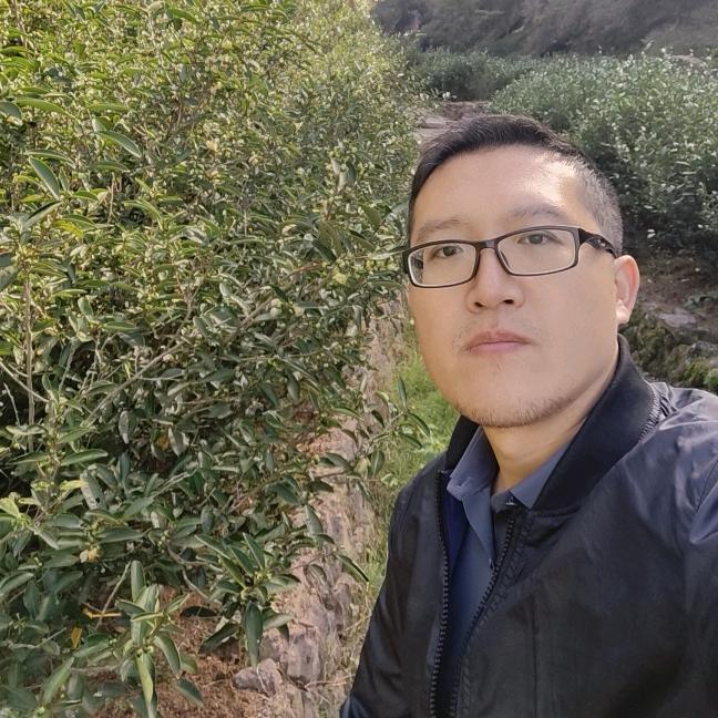 老张聊茶-不忍独享