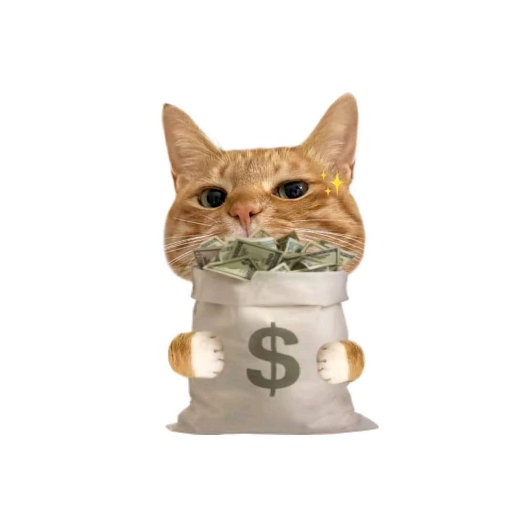 小周（努力中）